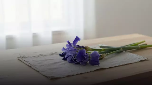 Как выбрать свежие ирисы: на что смотреть при покупке