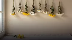 Как засушить хризантемы и сохранить букет на память