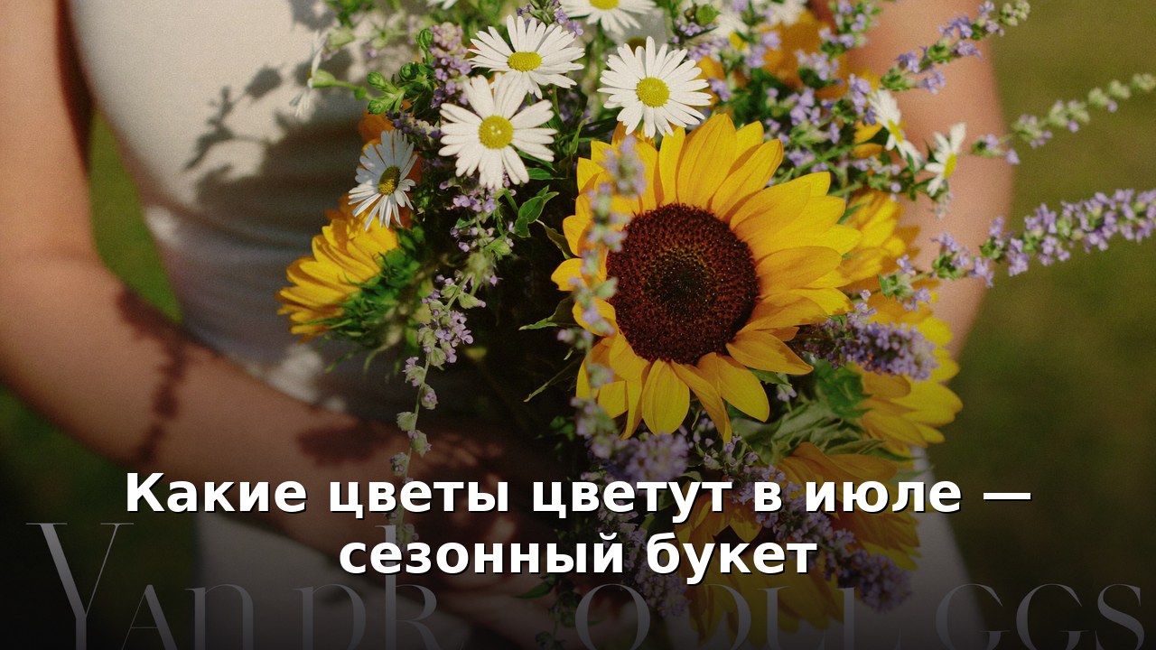 Какие цветы цветут в июле — сезонный букет
