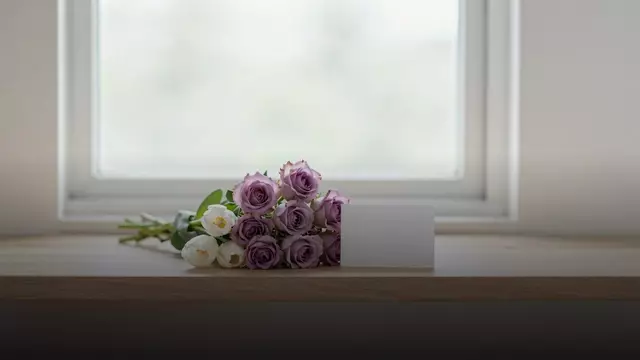Какие цветы дарить для извинения: как выбрать букет, который скажет «прости»