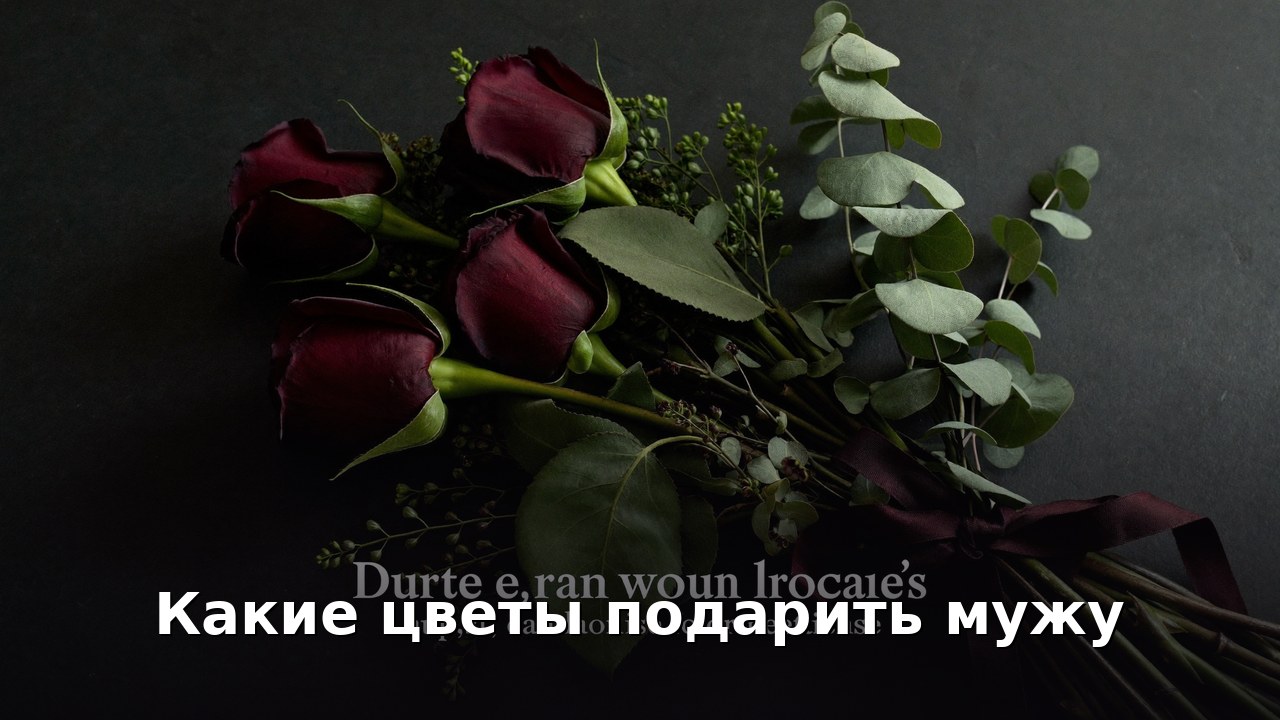 Какие цветы подарить мужу