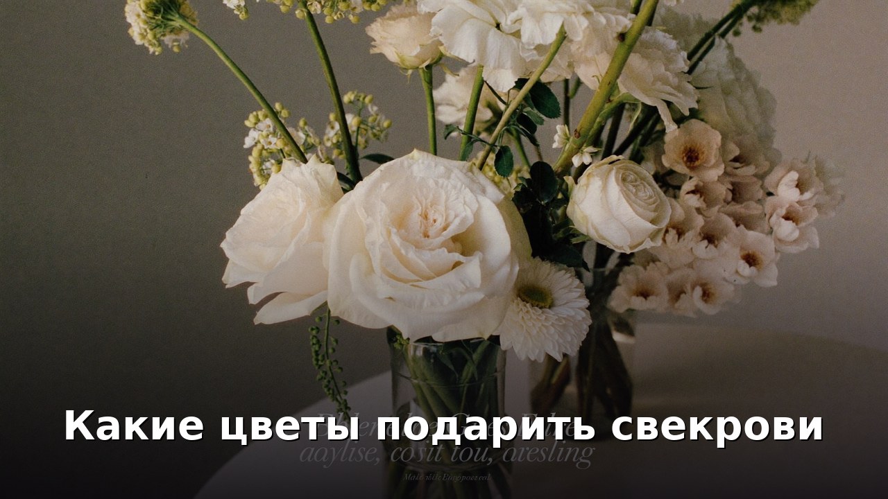 Какие цветы подарить свекрови