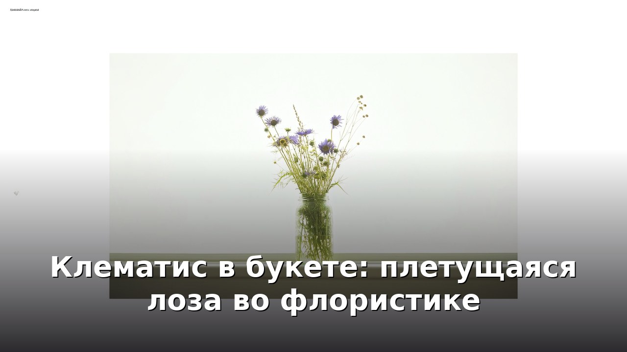 Клематис в букете: плетущаяся лоза во флористике