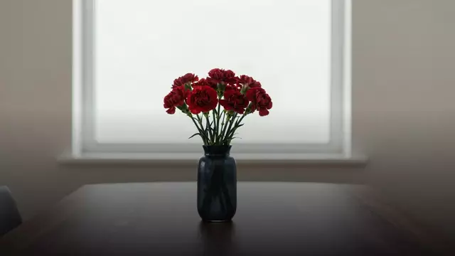 Красные гвоздики начальнице: уместно ли и как выбрать