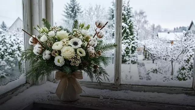 Красный амариллис на Новый год: символика и праздничные букеты