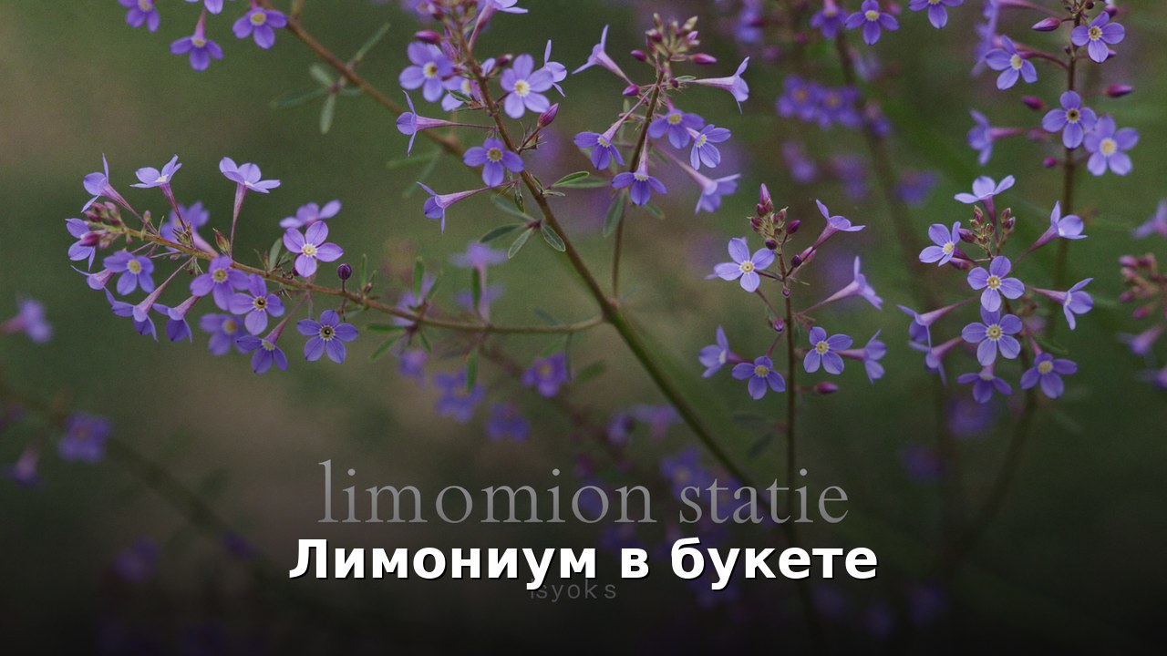 Лимониум в букете