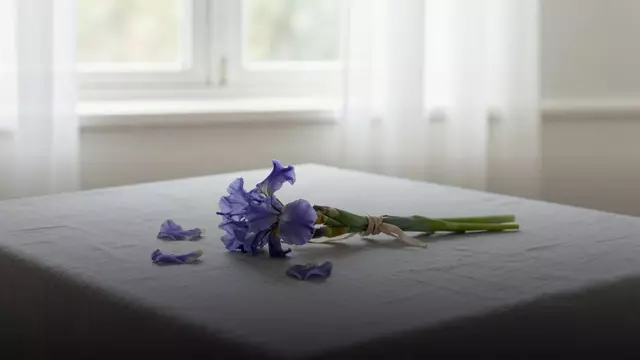 Маленький букет из ирисов: какой выбрать и сколько стоит