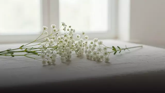 Мелкие цветы которые долго стоят: наполнители для букета