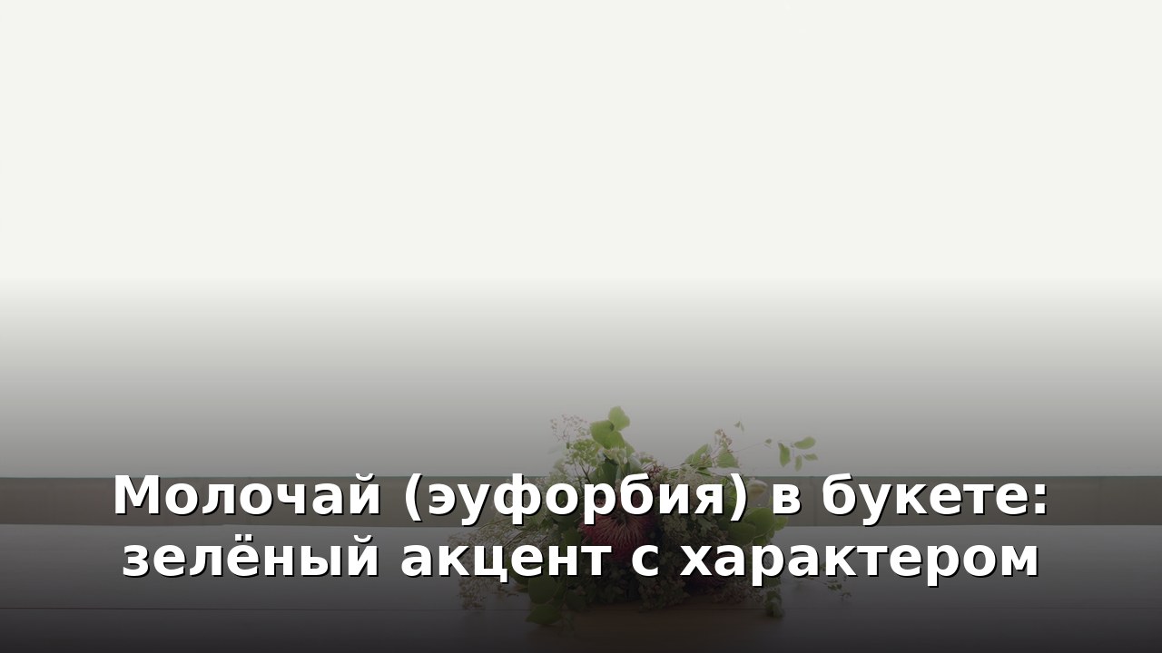 Молочай (эуфорбия) в букете: зелёный акцент с характером