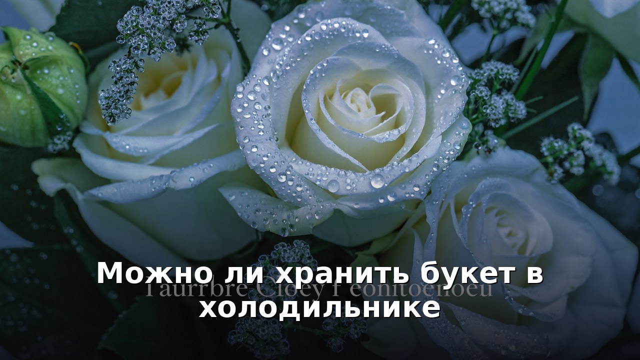 Можно ли хранить букет в холодильнике