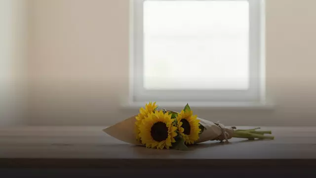 Недорогой букет из подсолнухов: как выбрать и не ошибиться