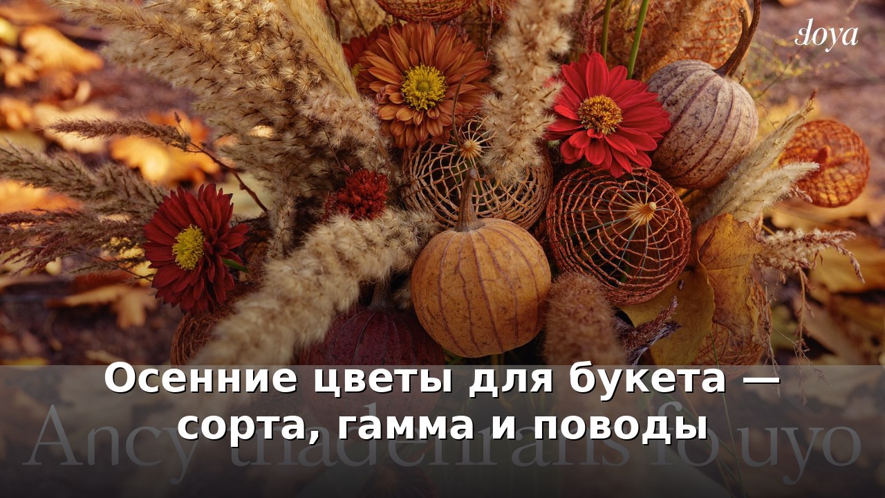 Осенние цветы для букета — сорта, гамма и поводы