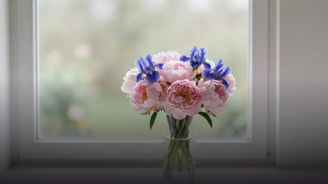 Цветы пионы и ирисы: майский букет, который держится