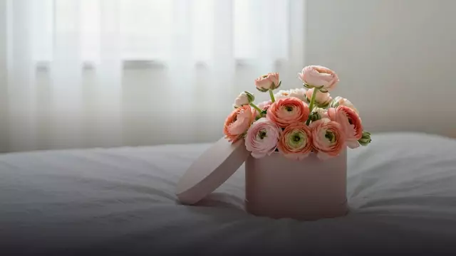 Ранункулюсы в шляпной коробке: размеры и цены