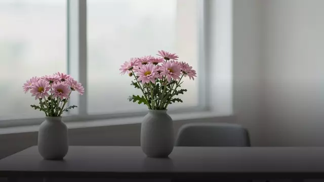 Розовые хризантемы начальнице: уместно ли и как выбрать