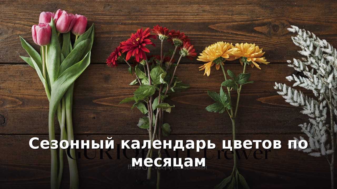 Сезонный календарь цветов по месяцам