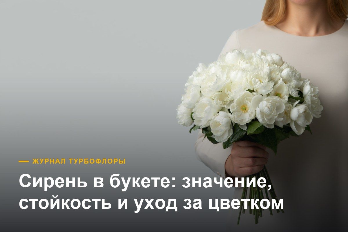 Сирень в букете — значение, стойкость и уход