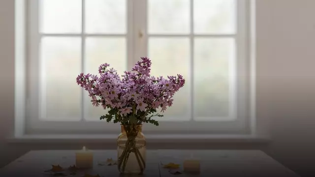 Сиреневые хризантемы жене: уместно ли и как выбрать