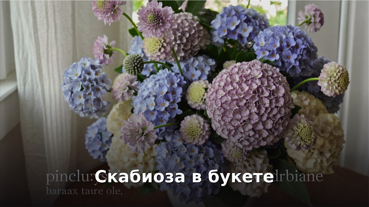 Скабиоза в букете