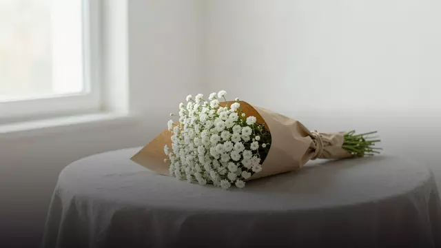 Сколько стоит букет из гипсофилы и от чего зависит цена