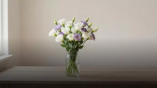 Сколько стоят эустома в вазе и как продлить им жизнь