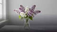 Сколько стоят маттиолы в вазе и как продлить им жизнь