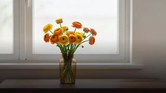 Сколько стоят ранункулюсы в вазе и как продлить им жизнь