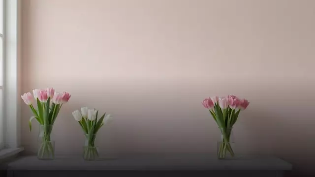 Сколько тюльпанов дарить: количество, размер и смысл
