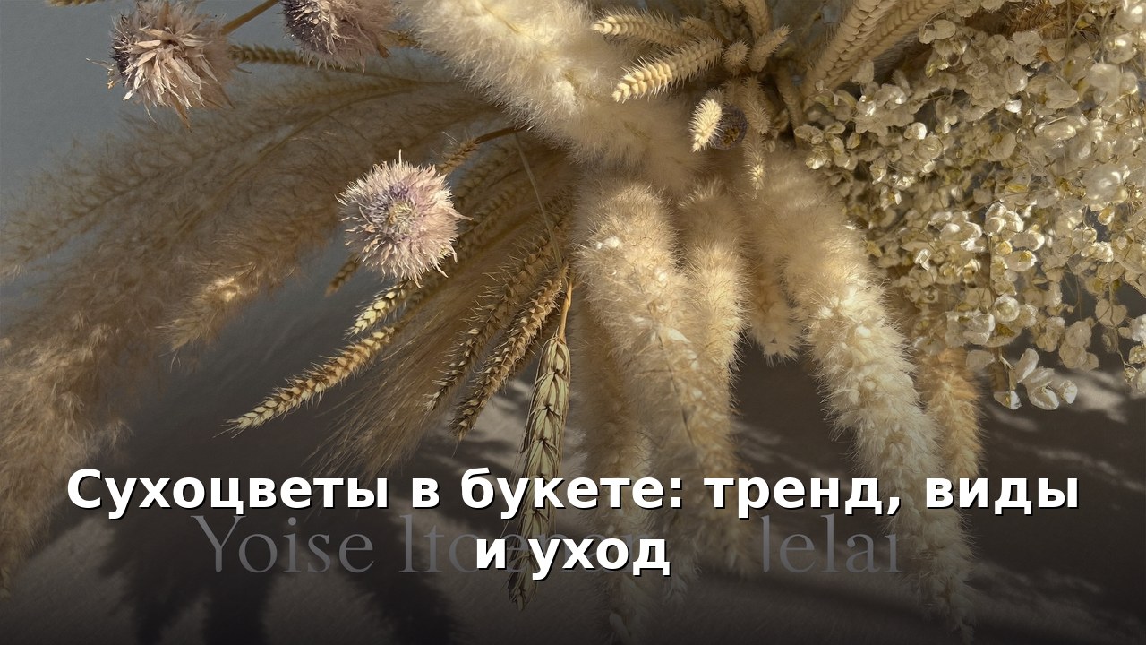 Сухоцветы в букете: тренд, виды и уход