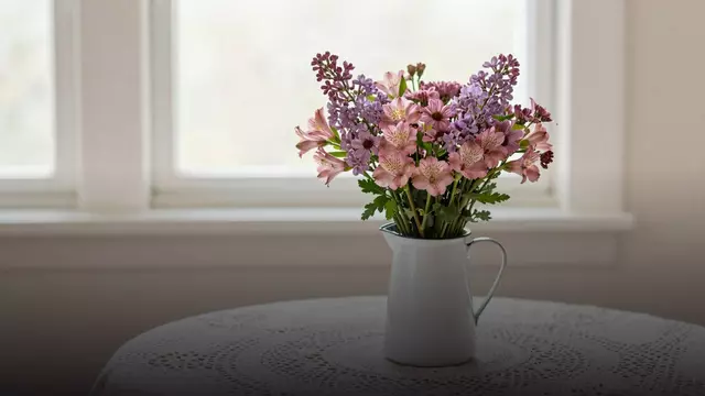 Цветы бабушке на День бабушек: как выбрать и не ошибиться