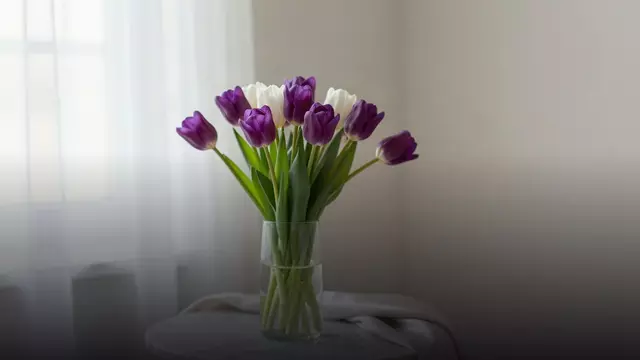 Тюльпаны жене: букет, который скажет больше слов