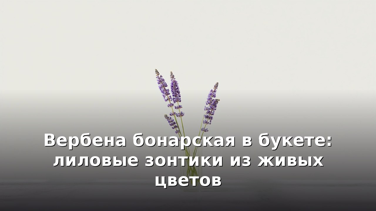 Вербена бонарская в букете: лиловые зонтики из живых цветов