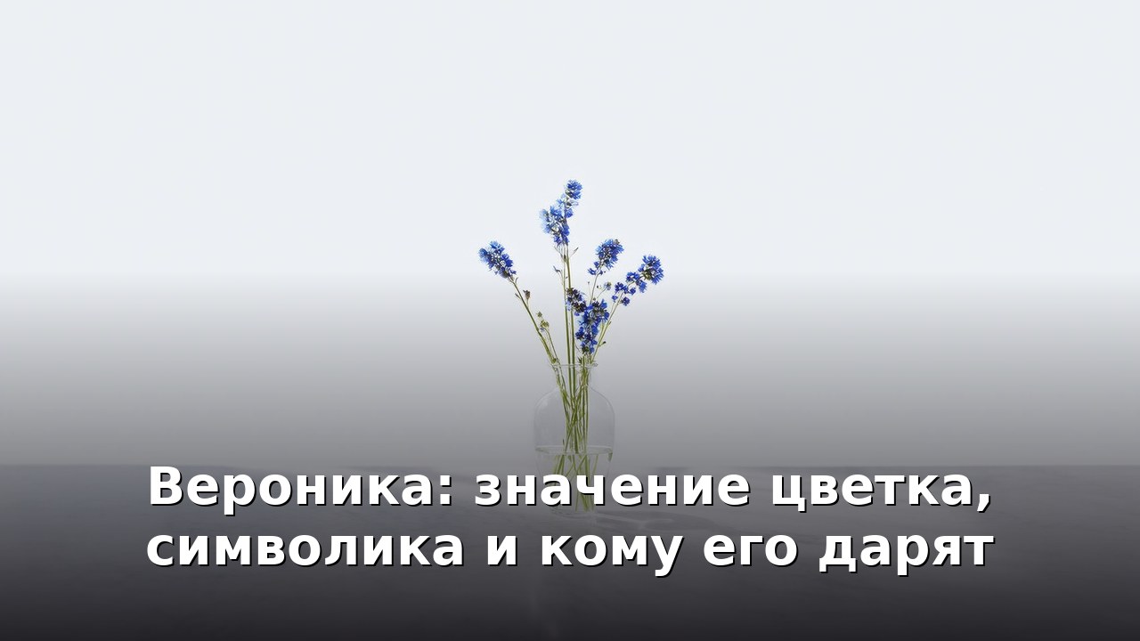 Вероника: значение цветка, символика и кому его дарят