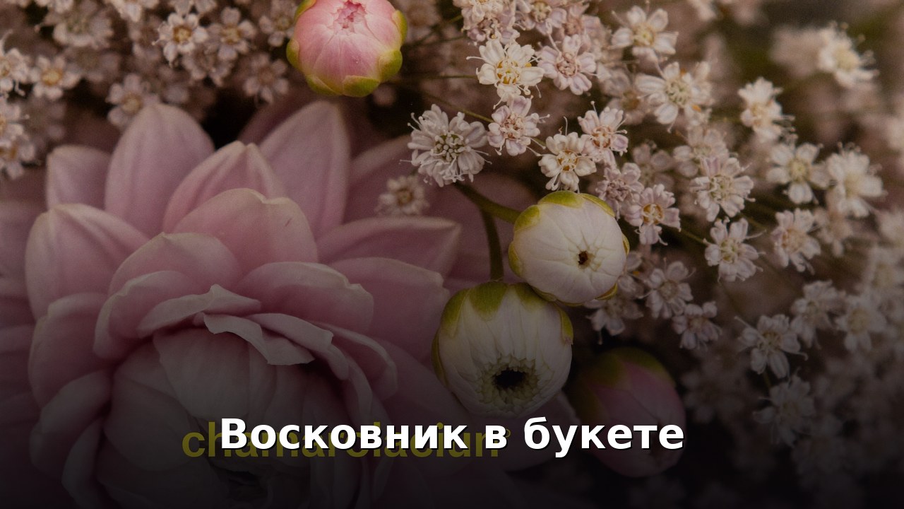 Восковник в букете