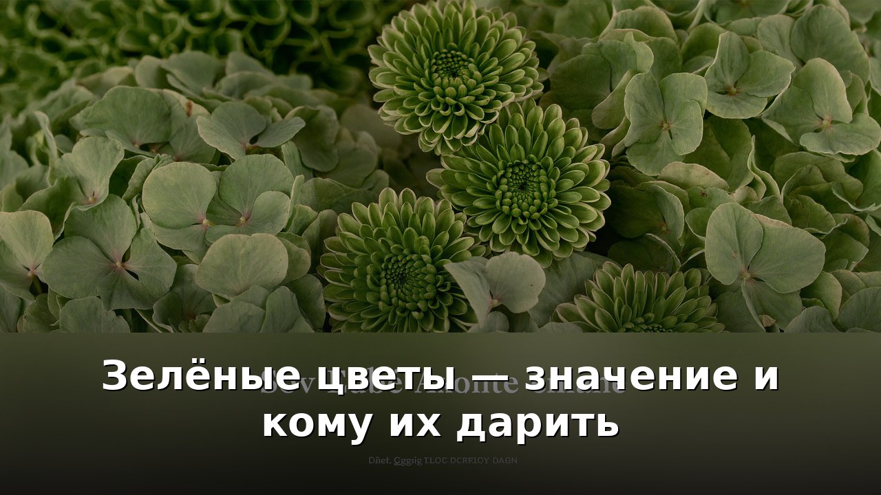 Зелёные цветы — значение и кому их дарить