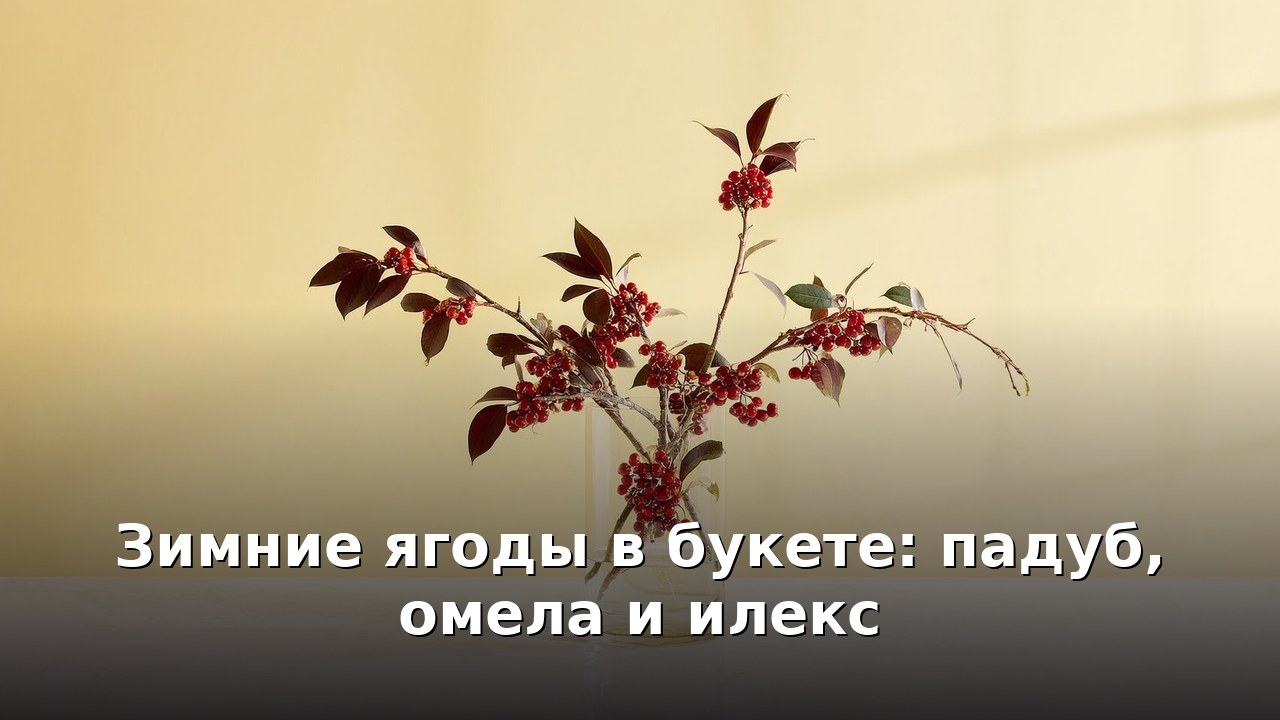 Зимние ягоды в букете: падуб, омела и илекс