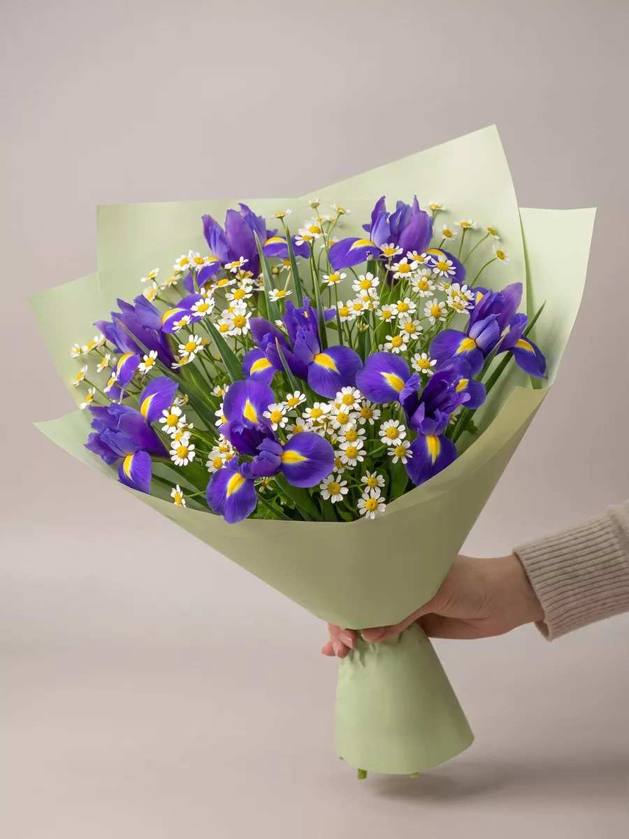 Mixed bouquet of 9 irises and 6 daisies
