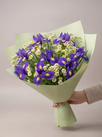 Сборный букет из 9 ирисов и 6 ромашек