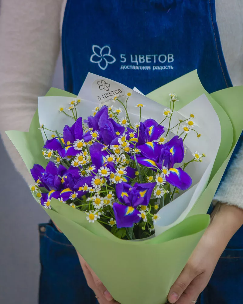 Mixed bouquet of 9 irises and 6 daisies
