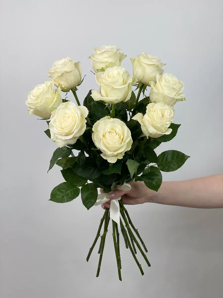Bouquet of 9 white roses, Ecuador, 60 cm
