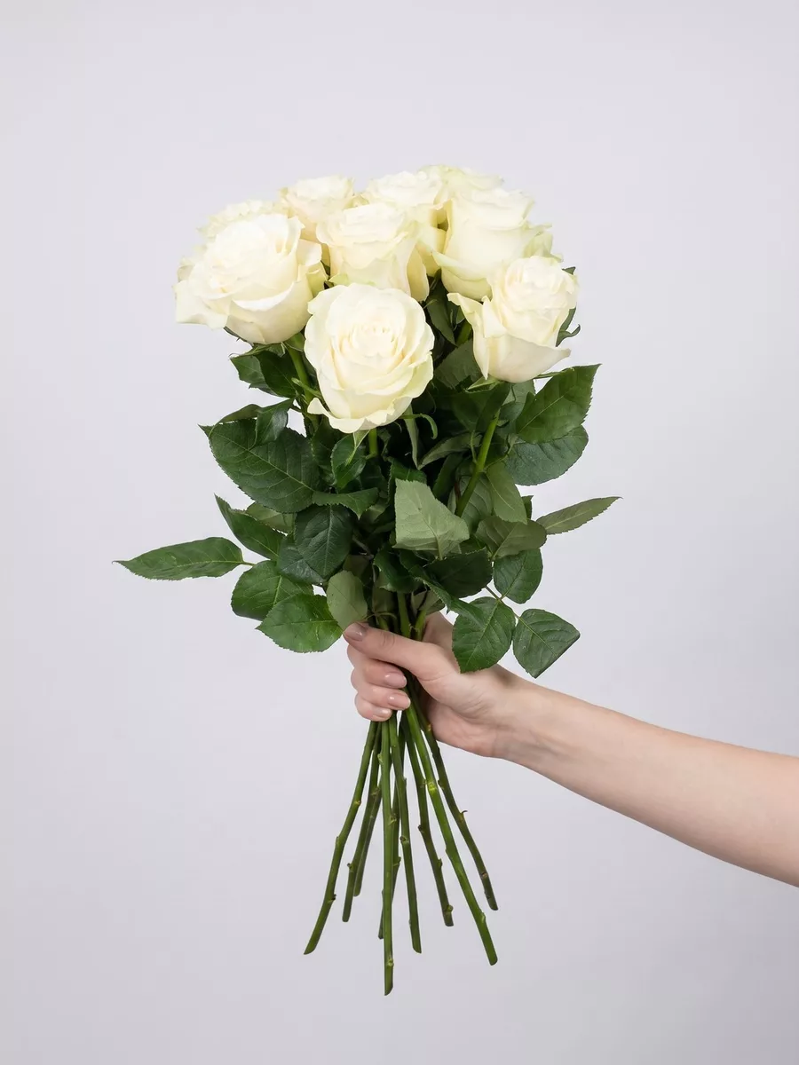 Bouquet of 9 white roses, Ecuador, 50 cm