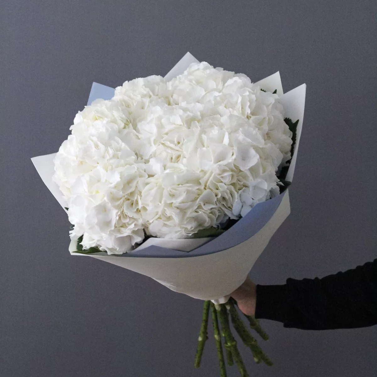 Bouquet of 5 white hydrangeas