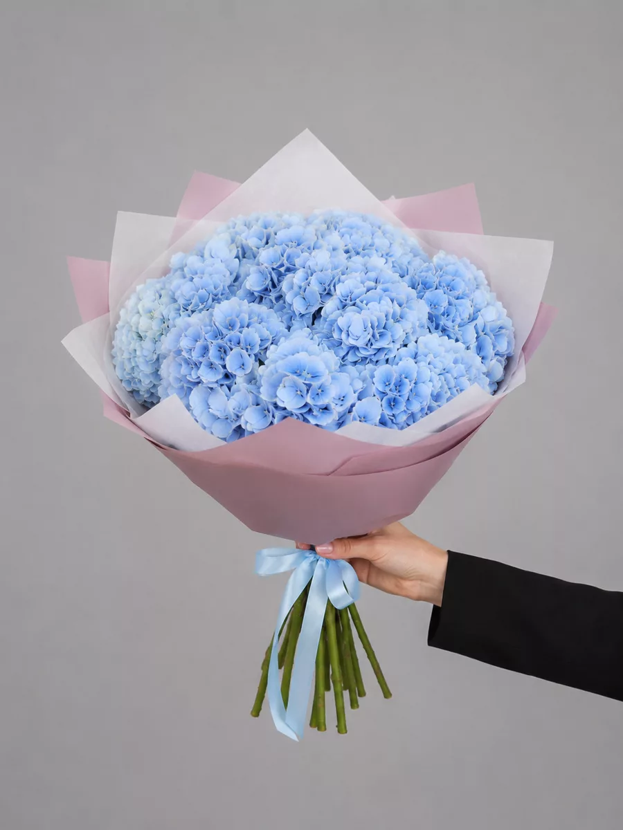 Bouquet of 5 light blue hydrangeas