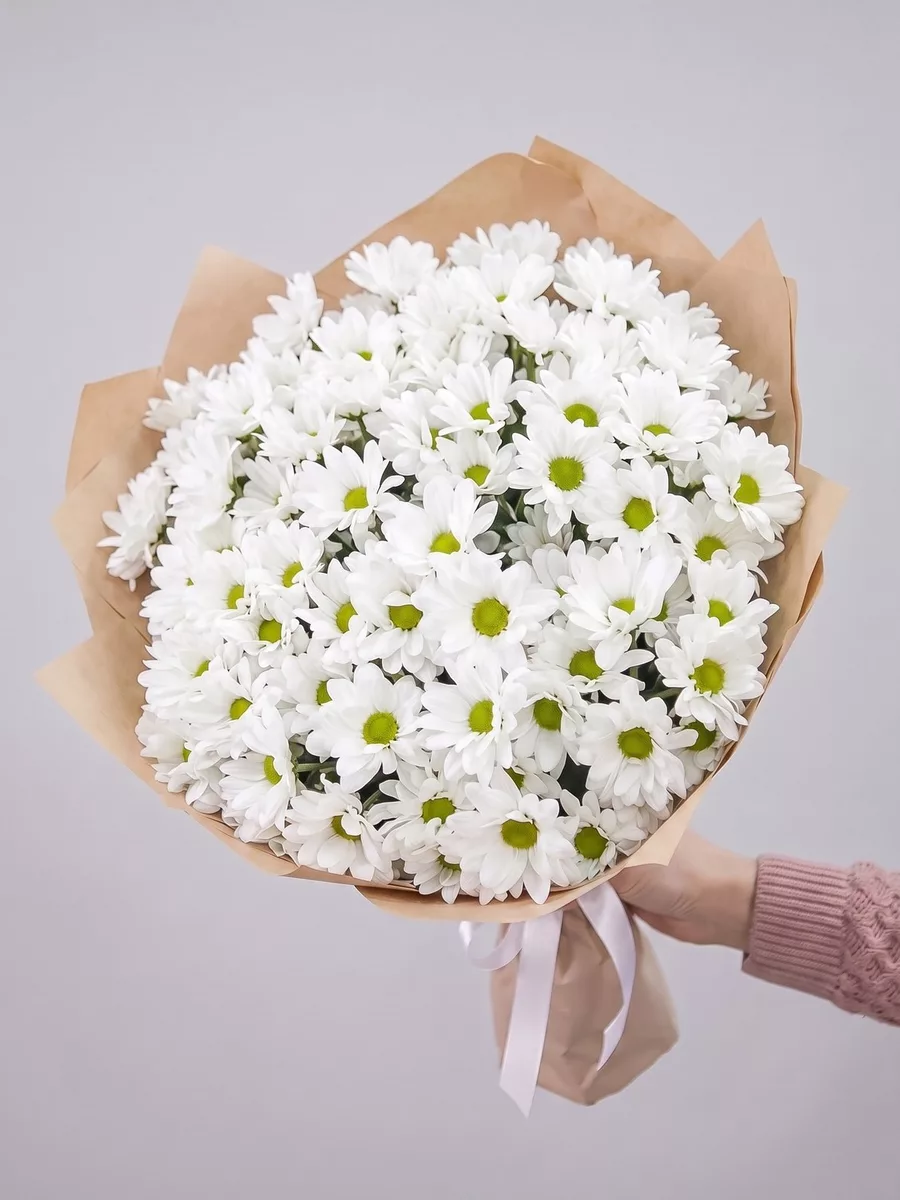 Bouquet of 15 white chrysanthemums
