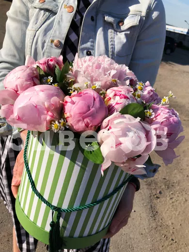 Композиция из 3 ромашек и 15 пионов в шляпной коробке
