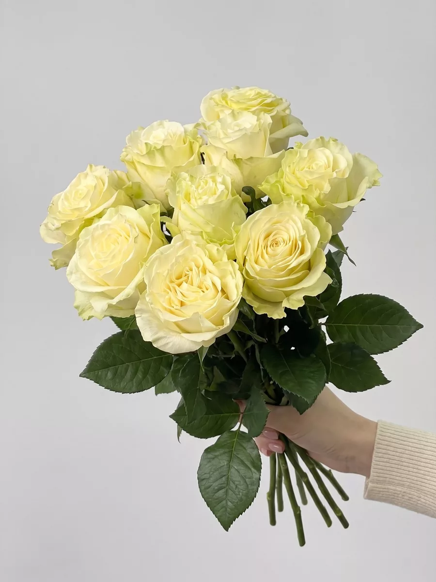 Bouquet of 9 white roses, Ecuador, 50 cm