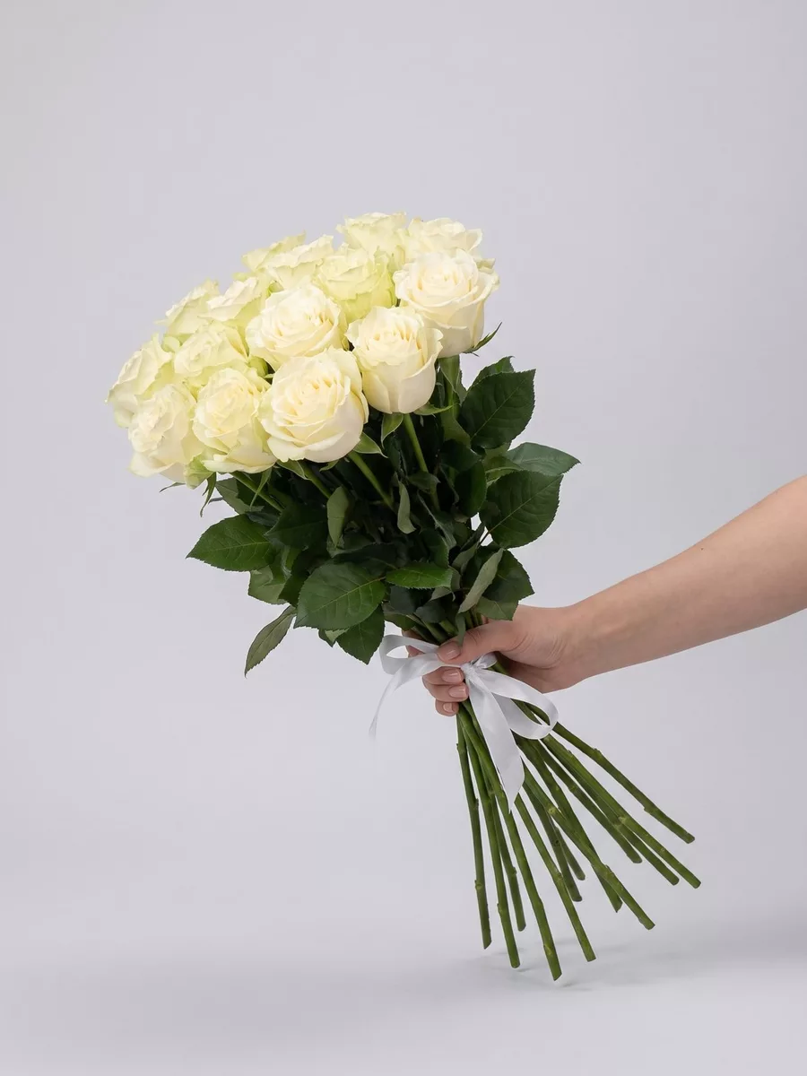 Bouquet of 15 white roses, Ecuador, 50 cm