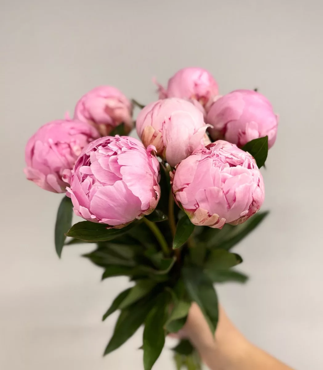 Bouquet pink peonies