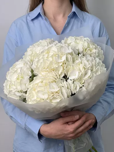 Букет живых цветов из 7 белых гортензий