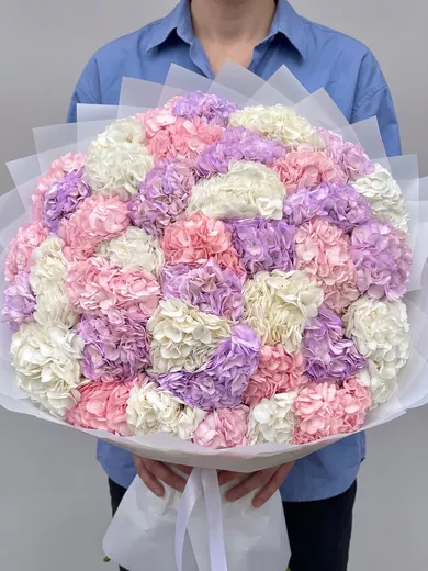Букет живых цветов из 51 гортензии микс
